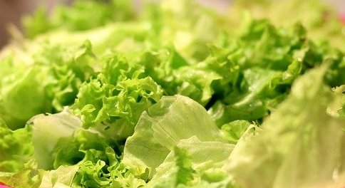 Insalata verde